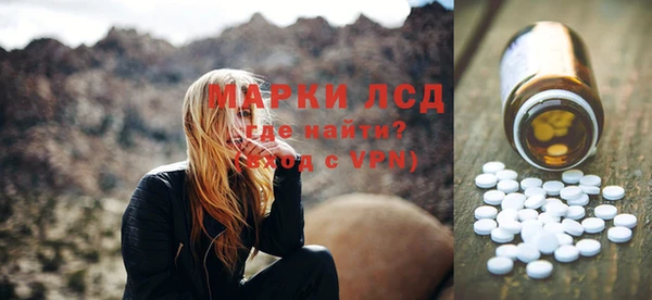 сатива Абинск