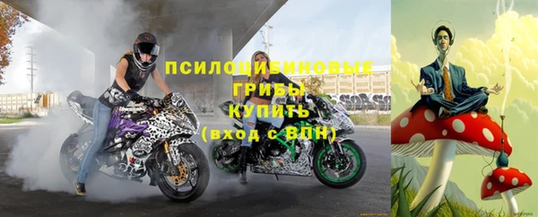 apvp Абаза