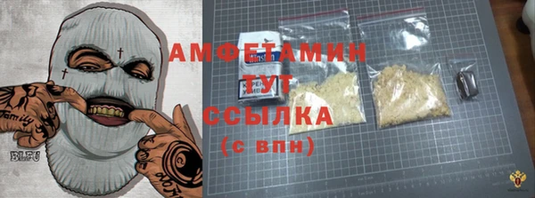 сатива Абинск