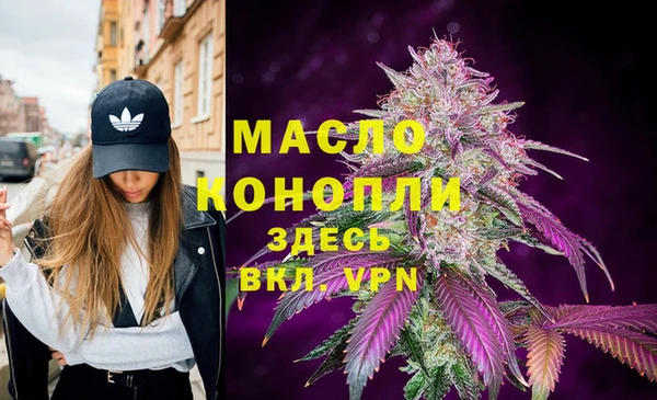 сатива Абинск