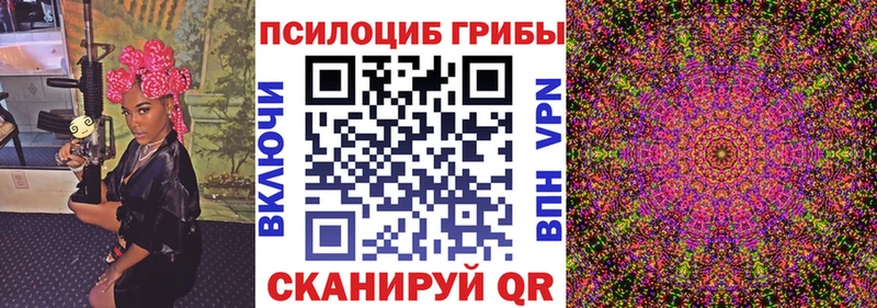 Псилоцибиновые грибы Psilocybine cubensis  Дегтярск 
